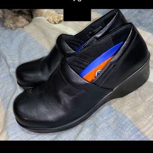 DR. SCHOLLS WORK CLOG